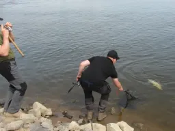 elbe-2-angler-zanderdrill- keschern